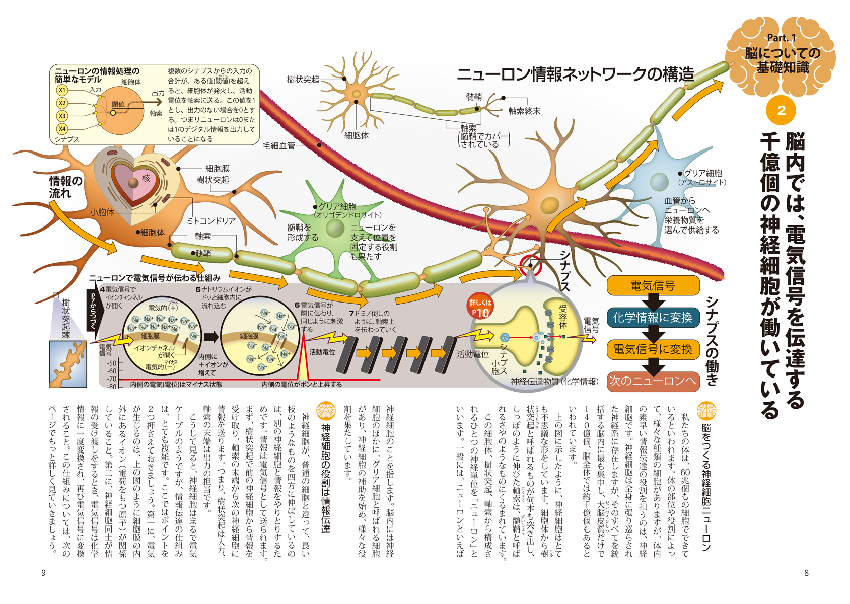 『図解でわかる 14歳から知る人類の脳科学、その現在と未来』ページサンプル