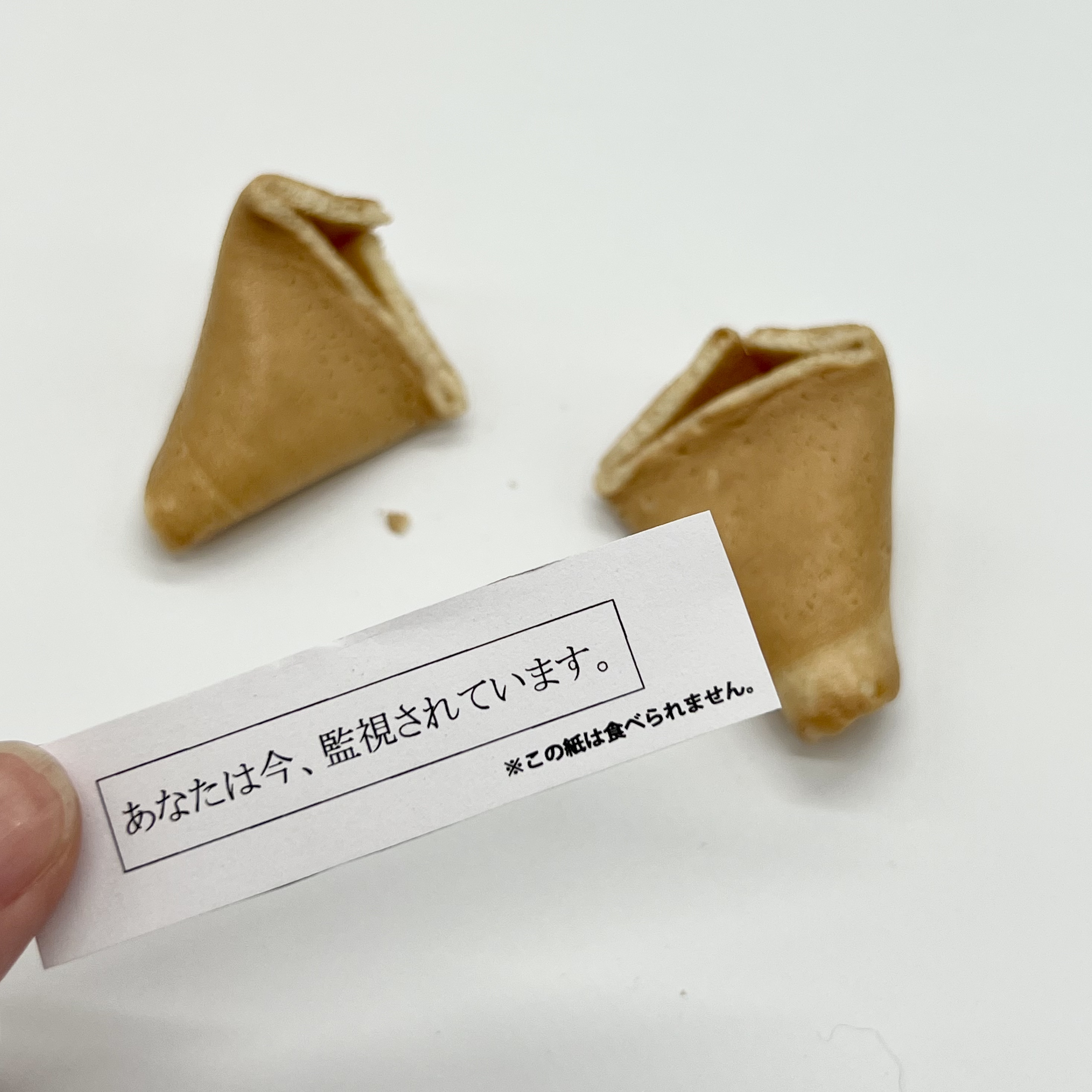 怪文書フォーチュンクッキー