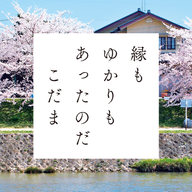 こだま『縁もゆかりもあったのだ』特設サイトオープン！各方面からコメント続々到着