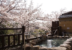 美術館の中で桜が満開に！　桜の名画ばかりを集めた美術展