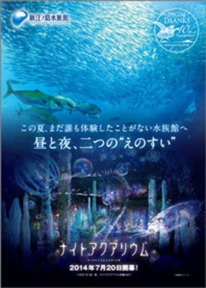 プロジェクションマッピングで夜の水族館を堪能　新江ノ島水族館にて