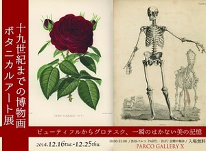 植物の細密画や禁断の解剖書を紹介する展覧会　ゴスロリブームの元祖も登場