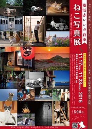 横浜赤レンガ倉庫で『ねこ写真展』　1000点以上の猫写真を紹介