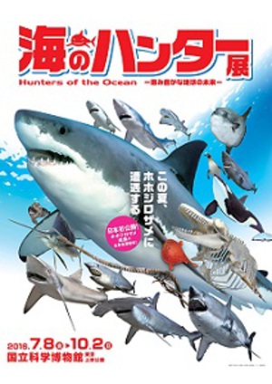 巨大ホホジロザメの全身標本を日本初公開　「海のハンター展」