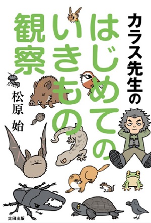 鳥でも飛ぶのに失敗して墜落することはある？　カラス先生が回答