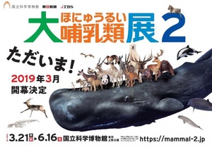 陸と海の哺乳類が大行進　巧みな生存戦略に迫る『大哺乳類展2』