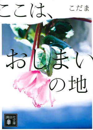 『夫のちんぽが入らない』のこだまのエッセイ『ここは、おしまいの地』が文庫版に