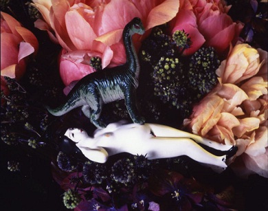 荒木経惟「楽園」2011年 RCダイレクト・プリント、100 x 118.3 cm